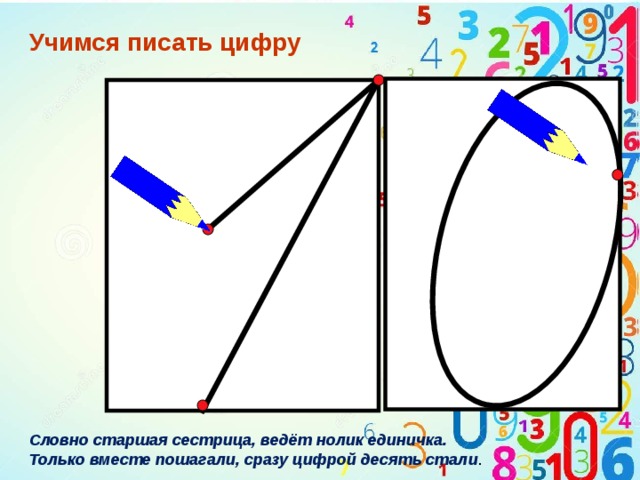 Спинномозговой канал обозначенный на рисунке цифрой впиши только цифру заполнен