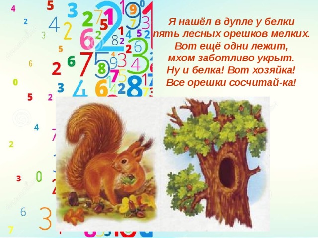Я нашёл в дупле у белки  пять лесных орешков мелких.  Вот ещё одни лежит,  мхом заботливо укрыт.  Ну и белка! Вот хозяйка!  Все орешки сосчитай-ка! 