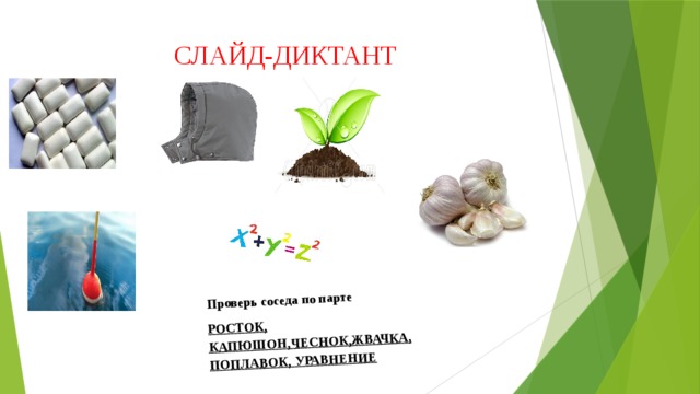 Проверь соседа по парте РОСТОК, КАПЮШОН,ЧЕСНОК,ЖВАЧКА, ПОПЛАВОК, УРАВНЕНИЕ СЛАЙД-ДИКТАНТ