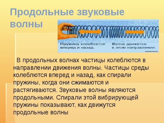 Продольные и поперечные звуковые волны. Что такое продольная волна