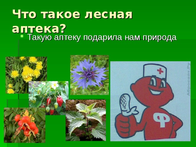 Презентация по окружающему миру на тему: " Лес - волшебный дворец" для 3 класса