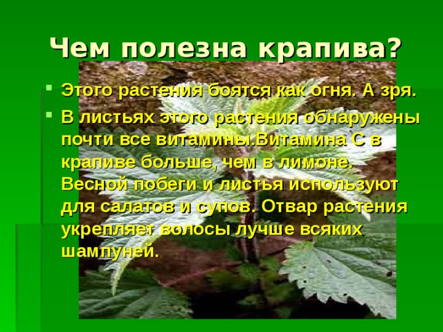 Лекарственные растения в жизни человека проект