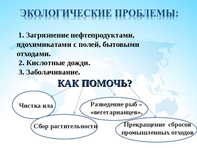  1. Загрязнение нефтепродуктами, ядохимикатами с полей, бытовыми отходами.  2. Кислотные дожди.  3. Заболачивание.  КАК ПОМОЧЬ? чыы Р Разведение рыб – «вегетарианцев». Чистка ила С С Прекращение сбросов промышленных отходов Сбор растительности 21 