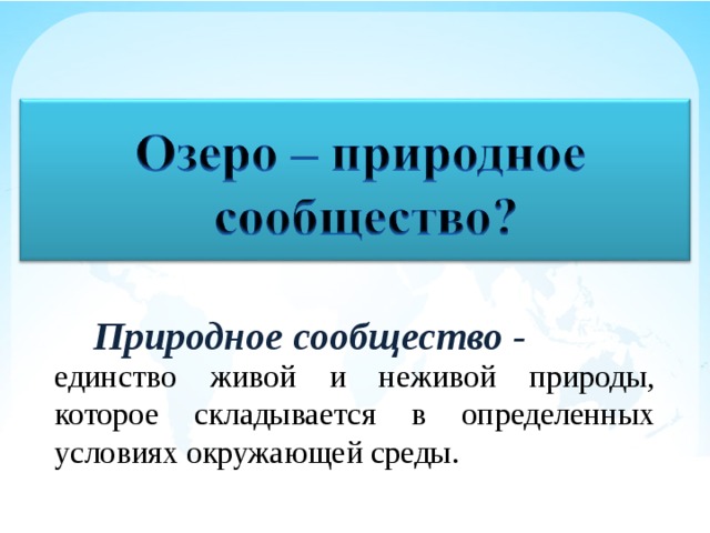 Единство живой и неживой природы