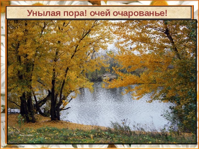 Унылая пора! очей очарованье! 