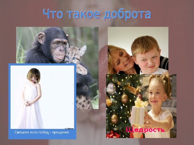 Заботливость Любовь Щедрость 