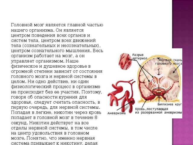 Сколько действует энцефалограмма головного мозга для медкомиссии на работу