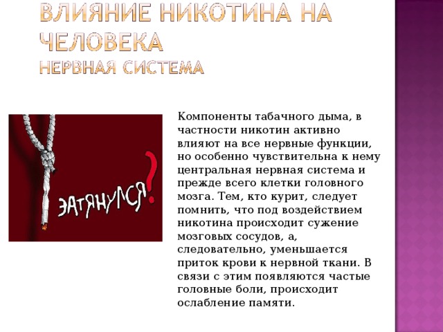 Компоненты табачного дыма, в частности никотин активно влияют на все нервные функции, но особенно чувствительна к нему центральная нервная система и прежде всего клетки головного мозга. Тем, кто курит, следует помнить, что под воздействием никотина происходит сужение мозговых сосудов, а, следовательно, уменьшается приток крови к нервной ткани. В связи с этим появляются частые головные боли, происходит ослабление памяти. 