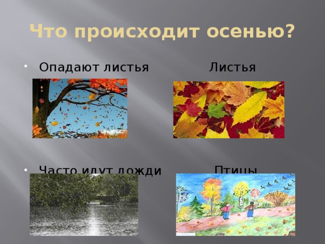 Что происходит осенью