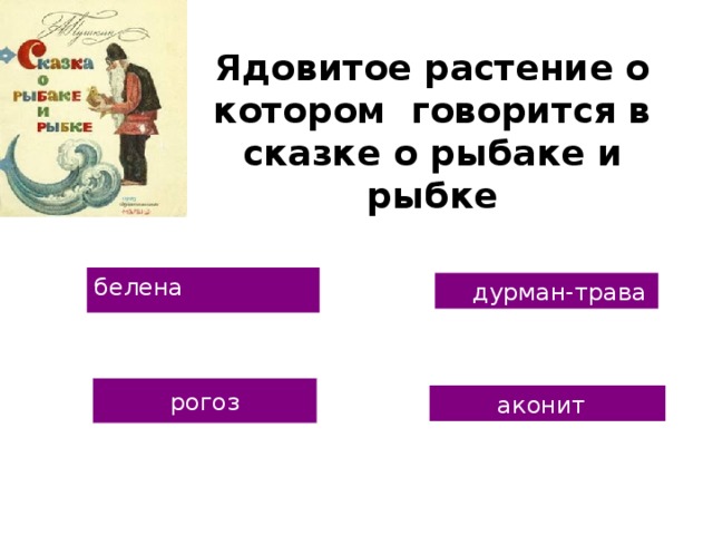 Ядовитое растение о котором говорится в сказке о рыбаке и рыбке белена  дурман-трава рогоз  аконит 