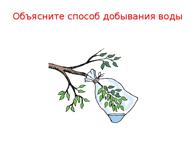 Способы добывания. Способы добычи воды. Добыча воды с помощью полиэтиленового пакета. Методы добывания воды. Способы добычи воды рисунок.