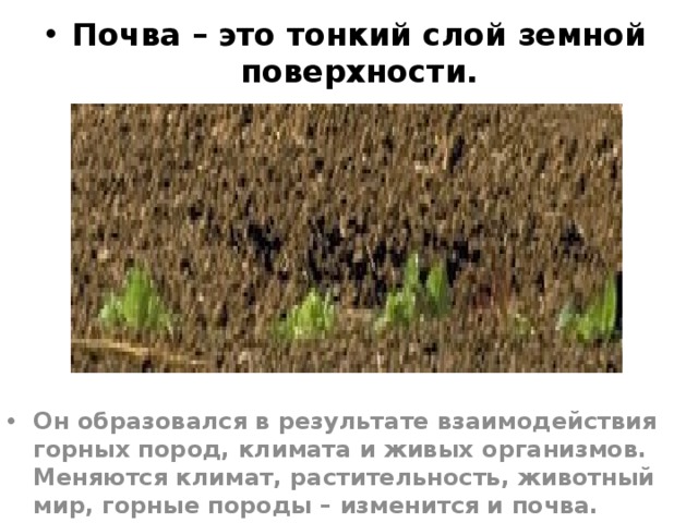 Почва – это тонкий слой земной поверхности. Он образовался в результате взаимодействия горных пород, климата и живых организмов. Меняются климат, растительность, животный мир, горные породы – изменится и почва. 