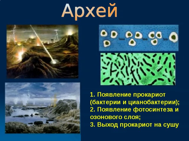 1. Появление прокариот (бактерии и цианобактерии); 2. Появление фотосинтеза и озонового слоя; 3. Выход прокариот на сушу 