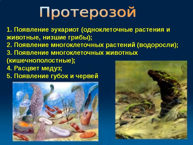 1. Появление эукариот (одноклеточные растения и животные, низшие грибы); 2. Появление многоклеточных растений (водоросли); 3. Появление многоклеточных животных (кишечнополостные); 4. Расцвет медуз; 5. Появление губок и червей 
