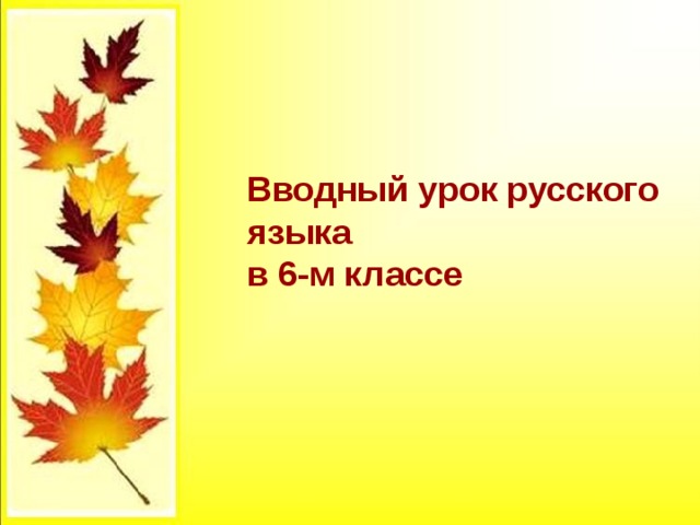 Повторение 6 класс русский язык презентация