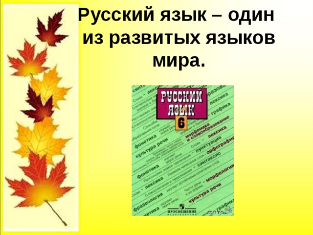 Русский язык один из развитых языков мира 6 класс презентация