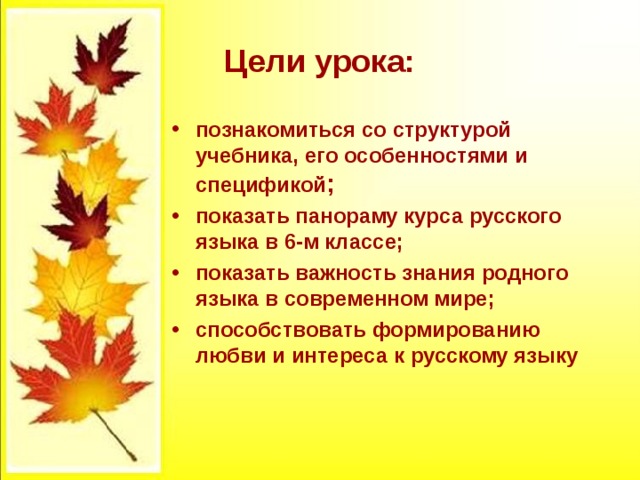 Презентация "Вводный урок -русский язык в 6 классе