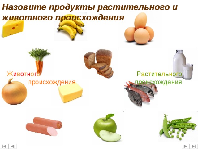 Витамины в продуктах растительного происхождения. Продукты растительного происхождения. Продукты растительного и животного происхождения. Продукты питания растительного происхождения. Какие продукты растительного происхождения.