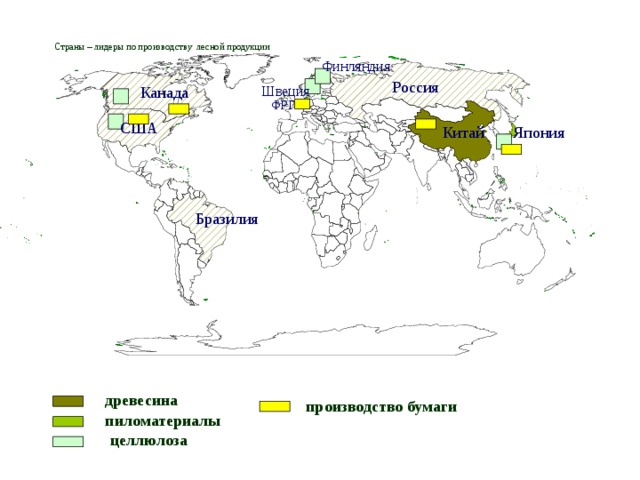 Лесная и деревообрабатывающая страны. Страны Лидеры по производству Лесной продукции. Лидеры Лесной промышленности в мире. Лесная промышленность США карта.