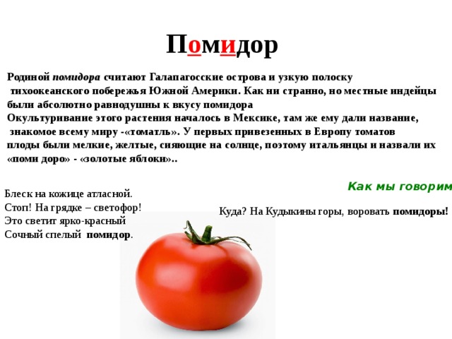 П о м и дор Родиной помидора считают Галапагосские острова и узкую полоску  тихоокеанского побережья Южной Америки. Как ни странно, но местные индейцы были абсолютно равнодушны к вкусу помидора Окультуривание этого растения началось в Мексике, там же ему дали название,  знакомое всему миру -«томатль». У первых привезенных в Европу томатов плоды были мелкие, желтые, сияющие на солнце, поэтому итальянцы и назвали их «поми доро» - «золотые яблоки».. Как мы говорим ? Блеск на кожице атласной. Стоп! На грядке – светофор! Это светит ярко-красный Сочный спелый помидор . Куда? На Кудыкины горы, воровать помидоры! 