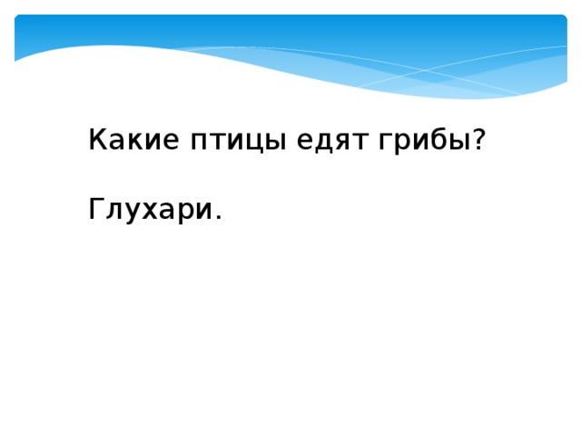 Какие птицы едят грибы? Глухари. 