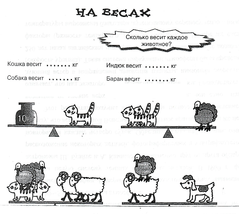 Сколько весит кошка. Сколько весит кошка в 3 года. Сколько весит кошка в 2 года. Сколько весит кот в 2 года.