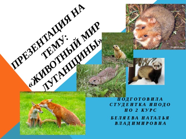 Презентация на тему:  «животный мир луганщины» Подготовила студентка иподо но 2 курс Беляева Наталья владимировна 