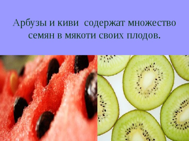Арбузы и киви содержат множество семян в мякоти своих плодов. 