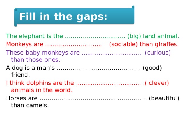 Fill in the gaps:  The elephant is the …………………………. (big) land animal. Monkeys are ……………………….. (sociable) than giraffes. These baby monkeys are ................................ (curious) than those ones. A dog is a man's ……………………………………. (good) friend. I think dolphins are the ................................... .( clever) animals in the world. Horses are ………………………………... …………… (beautiful) than camels.  