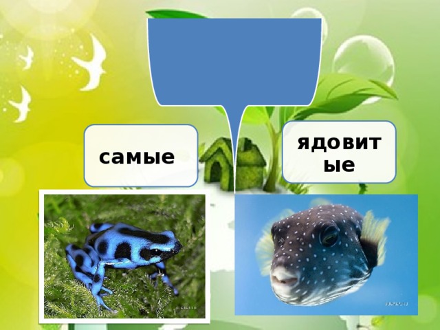 ядовитые самые 