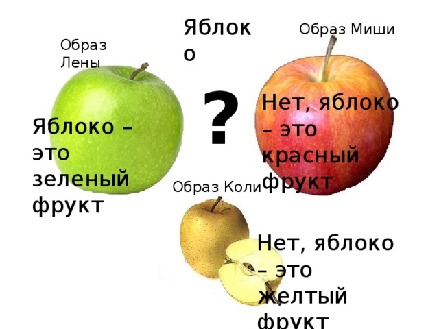 Яблоко  Образ Миши Образ Лены ? Нет, яблоко – это красный фрукт Яблоко – это зеленый фрукт Образ Коли Нет, яблоко – это желтый фрукт 