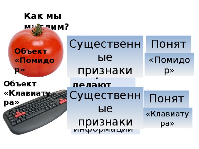 Как мы мыслим? Красный, круглый овощ, из которого делают кетчуп Существенные признаки Понятие Объект «Помидор» «Помидор» Объект «Клавиатура» Существенные признаки Устройство для ввод текстовой информации Понятие «Клавиатура» 