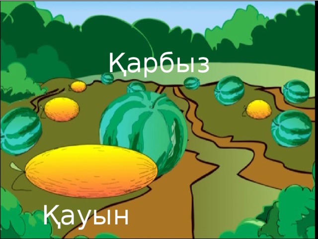 Қарбыз Қауын 