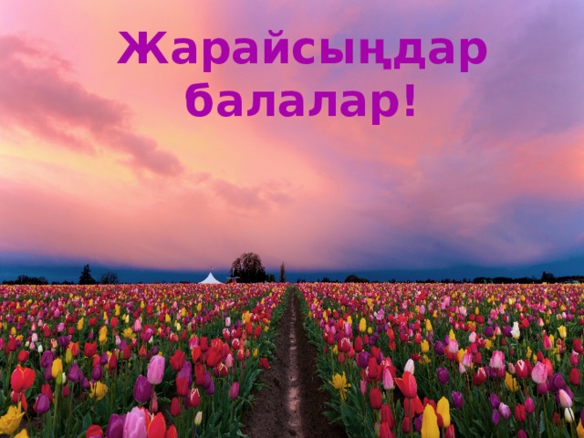 Жарайсыңдар балалар! 