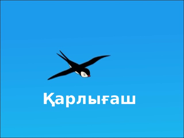 Қарлығаш 