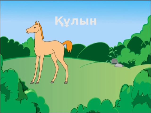 Құлын 