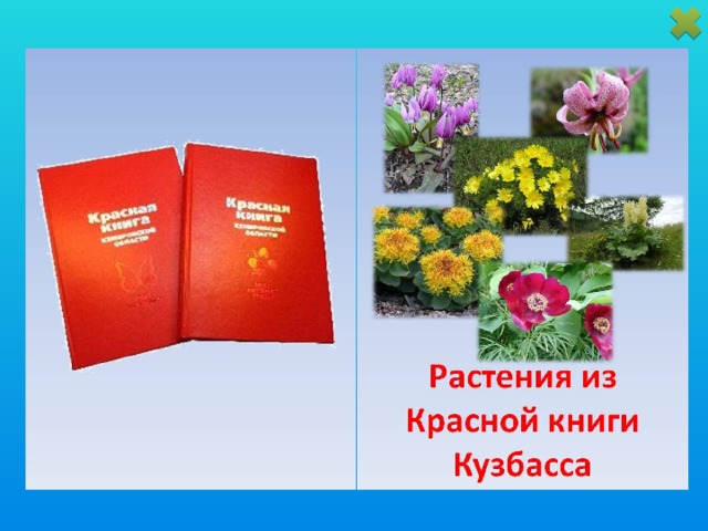 Растения из красной книги башкортостана фото и описание