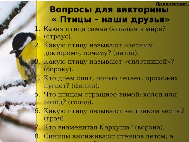 Scp почему я птица