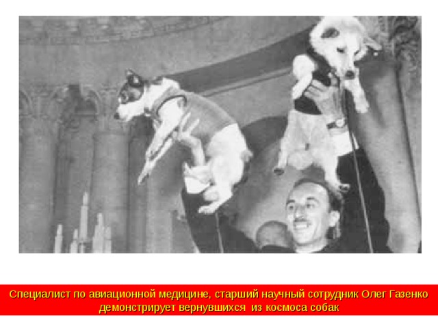 Специалист по авиационной медицине, старший научный сотрудник Олег Газенко демонстрирует вернувшихся из космоса собак