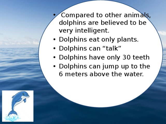  Compared to other animals, dolphins are believed to be very intelligent.  Dolphins eat only plants.  Dolphins can “talk” Dolphins have only 30 teeth Dolphins can jump up to the 6 meters above the water. 