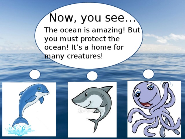 Now, you see… The ocean is amazing! But you must protect the ocean! It’s a home for many creatures! 