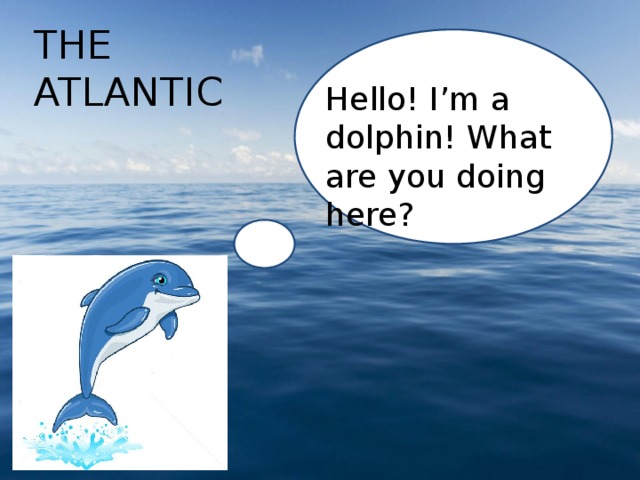 THE ATLANTIC Hello! I’m a dolphin! What are you doing here? 