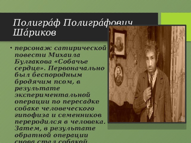 Какую должность стал занимать шариков. Шариков характеристика героя. Шариков описание внешности. Характеристика Шарикова Собачье.