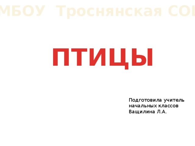 МБОУ Троснянская СОШ ПТИЦЫ Подготовила учитель начальных классов Ващилина Л.А. 