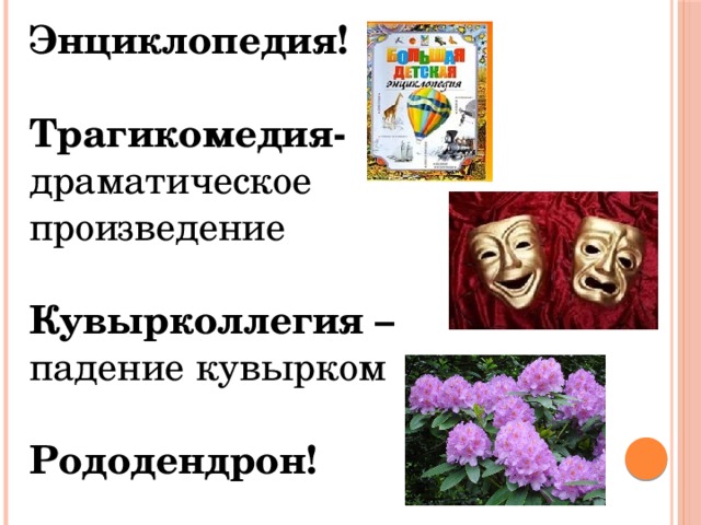 рододендрон шейх древесный. рододендрон хеллики. рододендрон гибридный анастасия anastasia. рододендрон biko. кувырколлегия рододендрон.