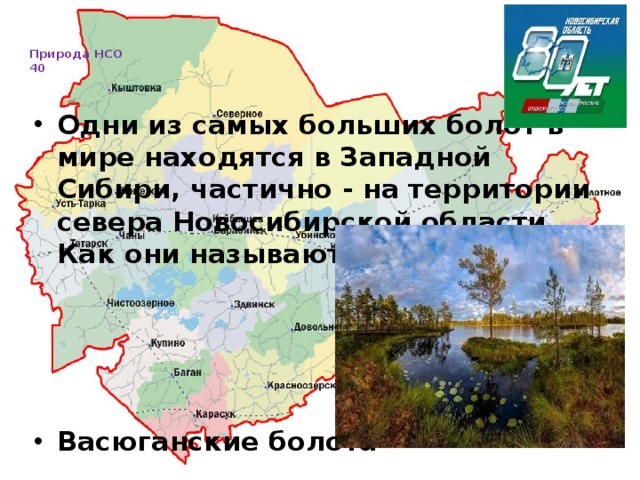   Природа НСО  40     Одни из самых больших болот в мире находятся в Западной Сибири, частично - на территории севера Новосибирской области. Как они называются?     Васюганские болота 
