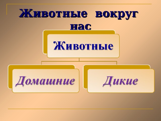 Животные вокруг нас 