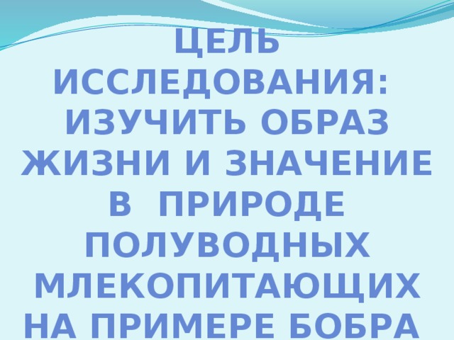 Цель исследования: изучить образ жизни и значение В ПРИРОДЕ полуводных млекопитающих на примере бобра 