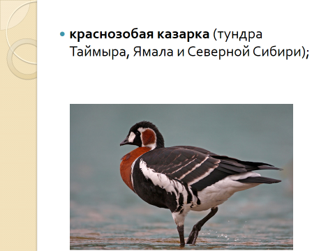 в наибольшей степени экосистемы подвержены влиянию человека в каких странах. Смотреть фото в наибольшей степени экосистемы подвержены влиянию человека в каких странах. Смотреть картинку в наибольшей степени экосистемы подвержены влиянию человека в каких странах. Картинка про в наибольшей степени экосистемы подвержены влиянию человека в каких странах. Фото в наибольшей степени экосистемы подвержены влиянию человека в каких странах