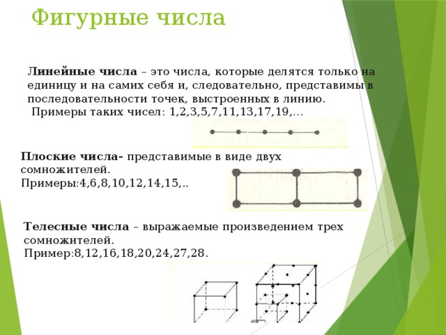 Фигурные числа Линейные числа – это числа, которые делятся только на единицу и на самих себя и, следовательно, представимы в последовательности точек, выстроенных в линию.  Примеры таких чисел: 1,2,3,5,7,11,13,17,19,… Плоские числа- представимые в виде двух сомножителей. Примеры:4,6,8,10,12,14,15,.. Телесные числа – выражаемые произведением трех сомножителей. Пример:8,12,16,18,20,24,27,28. 